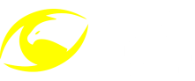 cropped 8765.png